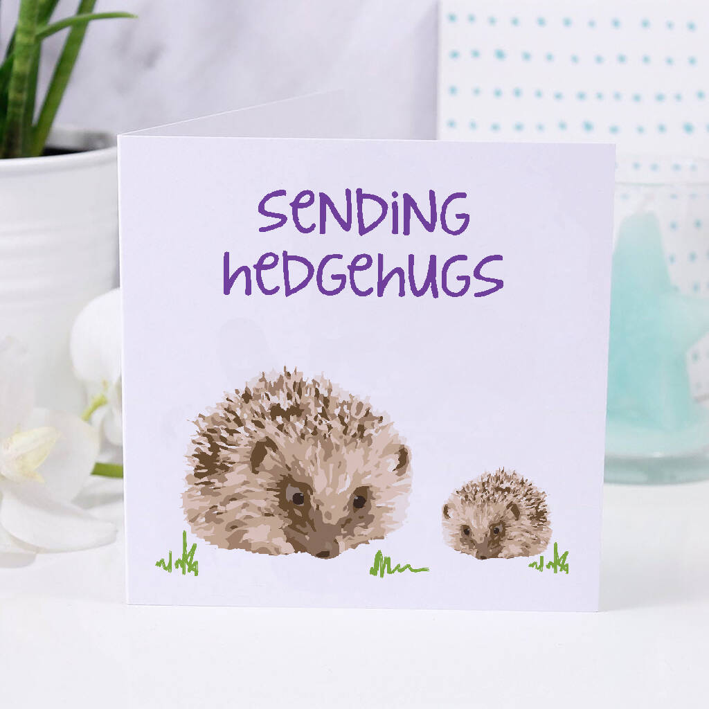 Sending Hedgehugs Hedgehog Thinking Of You Card, 1 of 3