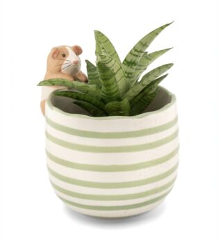 Peeking Guinea Pig Planter, 2 of 3