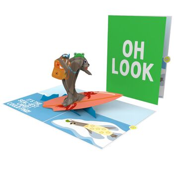Sealiest Card I Could Find Funny 3D Pop Up Card, 3 of 6