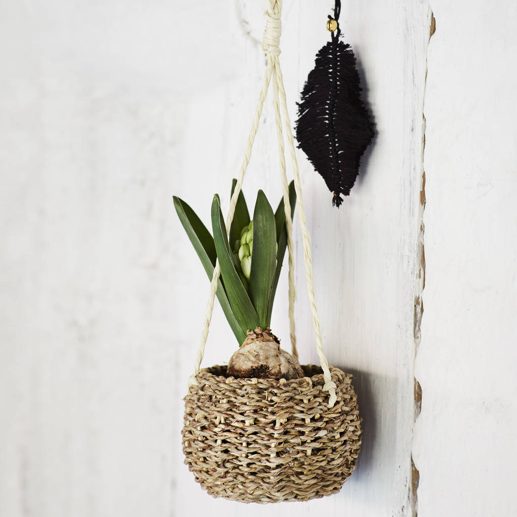 small seagrass hanging planter by posh totty designs interiors