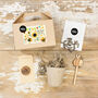Kids Sunflower Seed Kit, Grow Your Own, Kids Party Bag, thumbnail 4 of 7