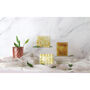 Marigold All Natural Exfoliating Indian Soap Bar, thumbnail 3 of 3