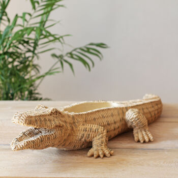 Crocodile Planter, 5 of 5
