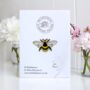 Enamel Bee Pin Badge, Bee Brooch, Birthday, Christmas Gift For Bee Lovers, thumbnail 1 of 8