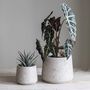 Set Of Two Tapered Cement Plant Pots, thumbnail 1 of 2