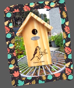 Bird Home And Sunflower Seeds Gift Set, 5 of 7