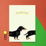 Sausage Dog Birthday Card, thumbnail 1 of 3