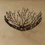 Handmade Dark Brass Branch Bowl, thumbnail 1 of 2