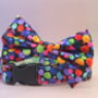Multicoloured Confetti Dog Bow Tie, thumbnail 2 of 11