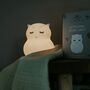 Little Owl Glow Light, thumbnail 4 of 10