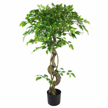Twisted Japanese Fruticosa Style Ficus Artificial Tree, 2 of 2
