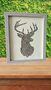 Recycled Shotgun Cartridge Stag Picture, thumbnail 1 of 2