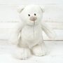 Soft Plush Teddy Bear With Personalised Jumper, thumbnail 1 of 5