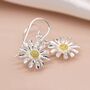 Large Sterling Silver Daisy Drop Earrings, thumbnail 3 of 9