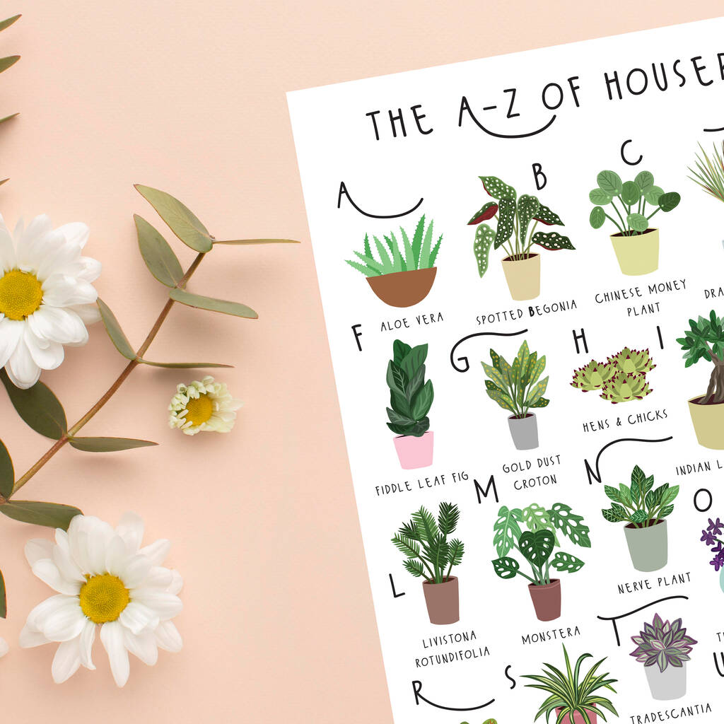 The A To Z Of Houseplants Print By Bea Baranowska Illustration