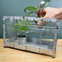 Mini Indoor Greenhouse With Plants Victorian Style, thumbnail 5 of 8