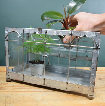 Mini Indoor Greenhouse With Plants Victorian Style, 5 of 8