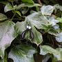 Mistletoe Enamel Pin, thumbnail 5 of 5