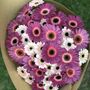 Gerbera Seasonal Fresh Flower Bouquet, thumbnail 1 of 3