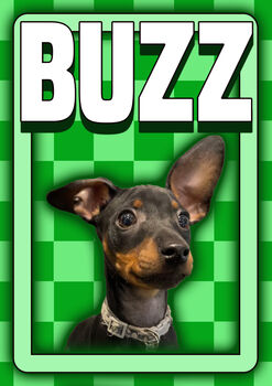 Custom Pet Dog Cat Portrait Checkerboard Print, 2 of 5