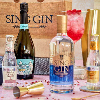 Gin And Summer Spritz Hamper, 6 of 11