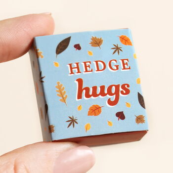 Tiny Matchbox Ceramic Hedgehog Token, 3 of 3