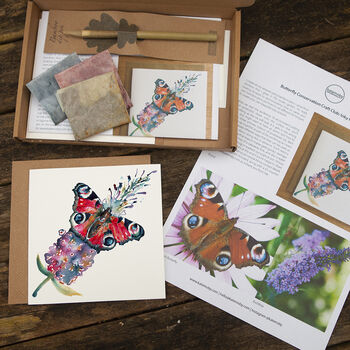 Pen And Ink Butterfly Drawing Workshop Video Tutorial Gift Set, 12 of 12
