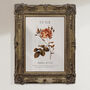 Birth Flower Wall Print 'Rose' For June, thumbnail 1 of 9