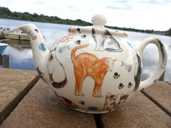 Two Cup Teapot In Cats And Kittens Design, 10 of 10