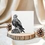 Red Kite Wildlife Greeting Card, thumbnail 2 of 6
