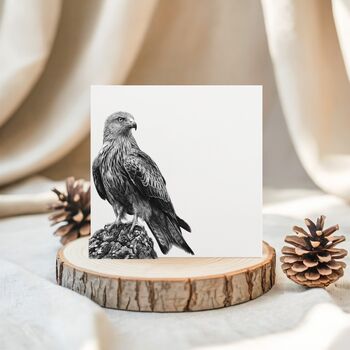 Red Kite Wildlife Greeting Card, 2 of 6