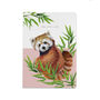 Red Panda Luxury Notebook Lola Design X Zsl, thumbnail 1 of 2