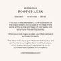 Root Chakra Ruby Gold Vermeil Necklace, thumbnail 7 of 10