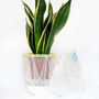 Origami Self Watering Eco Plant Pot: 18cm | Celery Cord, thumbnail 5 of 9