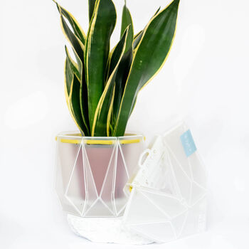 Origami Self Watering Eco Plant Pot: 18cm | Celery Cord, 5 of 9