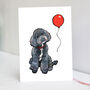 Black Toy Poodle Birthday Card, thumbnail 1 of 9