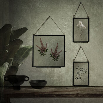Small Vintage Pressed Flower Frame: Dried Massasa, 4 of 7