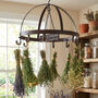 Landes Hanging Herb And Flower Dryer, thumbnail 1 of 2