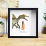 Spinosaurus Tooth And Watercolour Illustration Box Frame Real Authentic Jurassic Dinosaur Fossil Museum Quality Natural History Interior Design Home Decor Gift Ornament, thumbnail 1 of 5