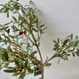 Artificial Potted Olive Tree, thumbnail 2 of 5