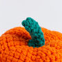 My Pocket Pumpkin Easy Crochet Kit, thumbnail 4 of 8