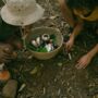 Fungi Unearthed: Kids' Fungi Adventure Pack, thumbnail 9 of 10