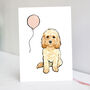 Apricot Cavapoo Birthday Card, thumbnail 1 of 3