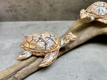 Double Painted Turtle Figurine Ornament – Root Sculpture, 7 of 12
