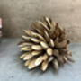Set Three Handmade Hedgehog Ornaments Coconut, thumbnail 9 of 12