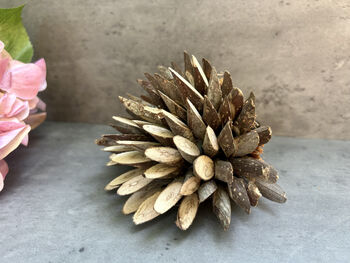 Set Three Handmade Hedgehog Ornaments Coconut, 9 of 12