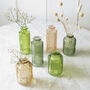 Greens And Apricot Glass Bottle Vase Assortment, thumbnail 1 of 2