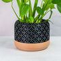 Carbon Blossom Planter, thumbnail 1 of 4