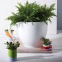 Tea Cup Planter, thumbnail 1 of 3