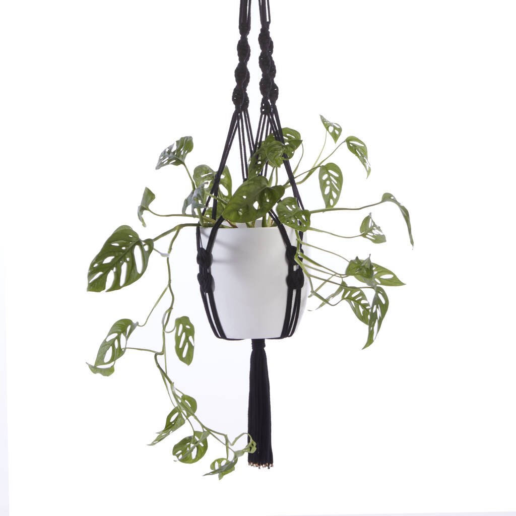 Large Recycled Macramé Plant Hanger, 1 of 3